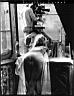 Brigitte_Bardot_63.jpg